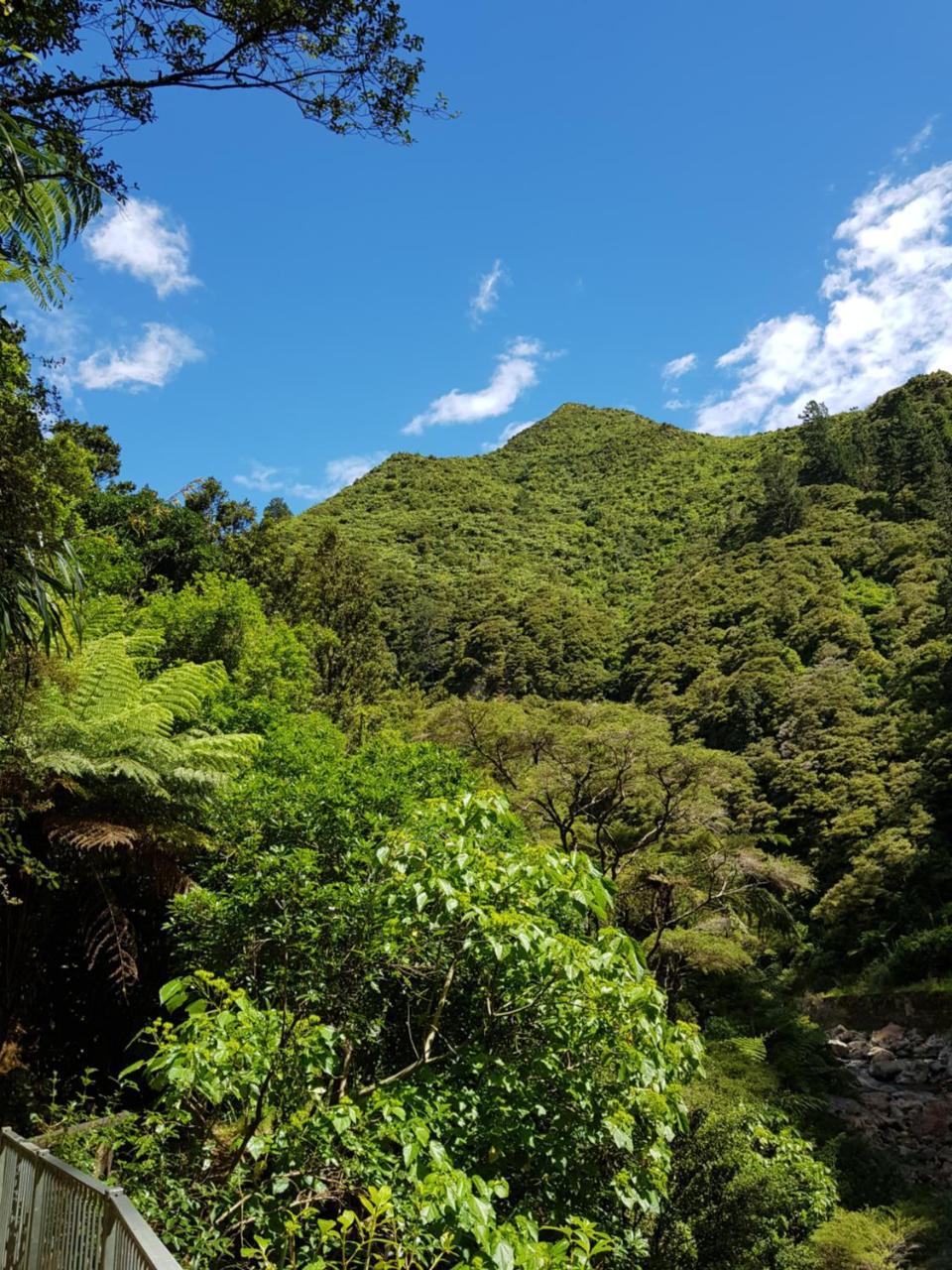 Riverside Accommodation Karangahake 외부 사진